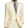 Tayion Classic Fit Suit Separates Coat, Cream